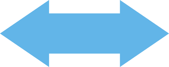 Vector