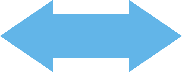 Vector