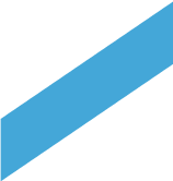 Vector