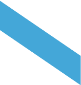 Vector