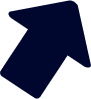 Vector