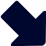 Vector