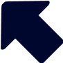 Vector