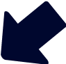 Vector
