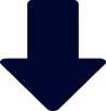 Vector